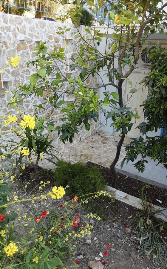 Akrotiri Vasiliki  Luaran gambar