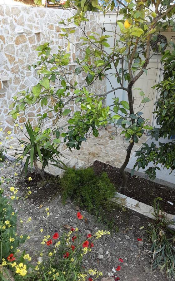 Akrotiri Vasiliki  Luaran gambar