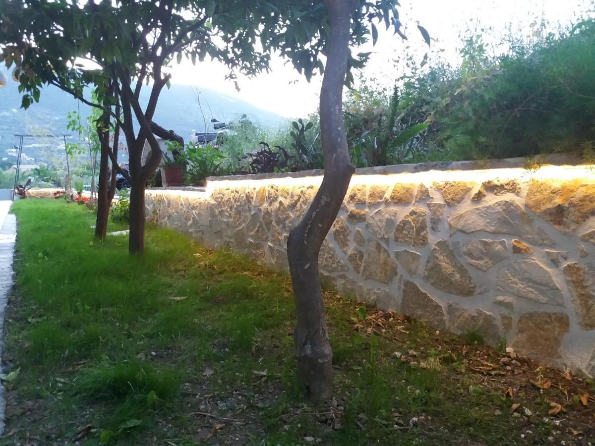 Akrotiri Vasiliki  Luaran gambar